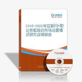 2016-2021年互聯(lián)網(wǎng)+職業(yè)技能培訓(xùn)市場運(yùn)營模式分析及技術(shù)咨詢作用
