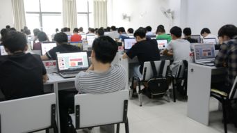 長沙校區(qū)就業(yè)喜報 | 無需羨慕他人，來黑馬，高薪就業(yè)觸手可及
